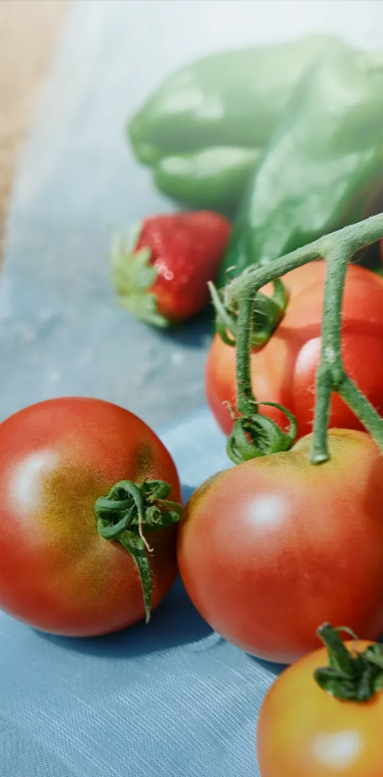 An image visual featuring a fresh, dewy tomato placed on a heat-blocking shade net infused with SOLAMENT™
