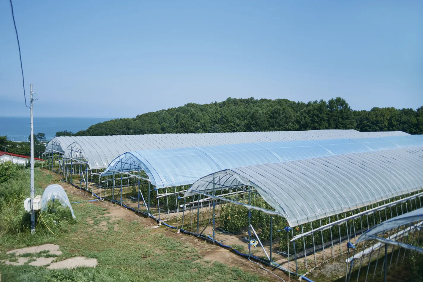 Photos of Nakano Farm