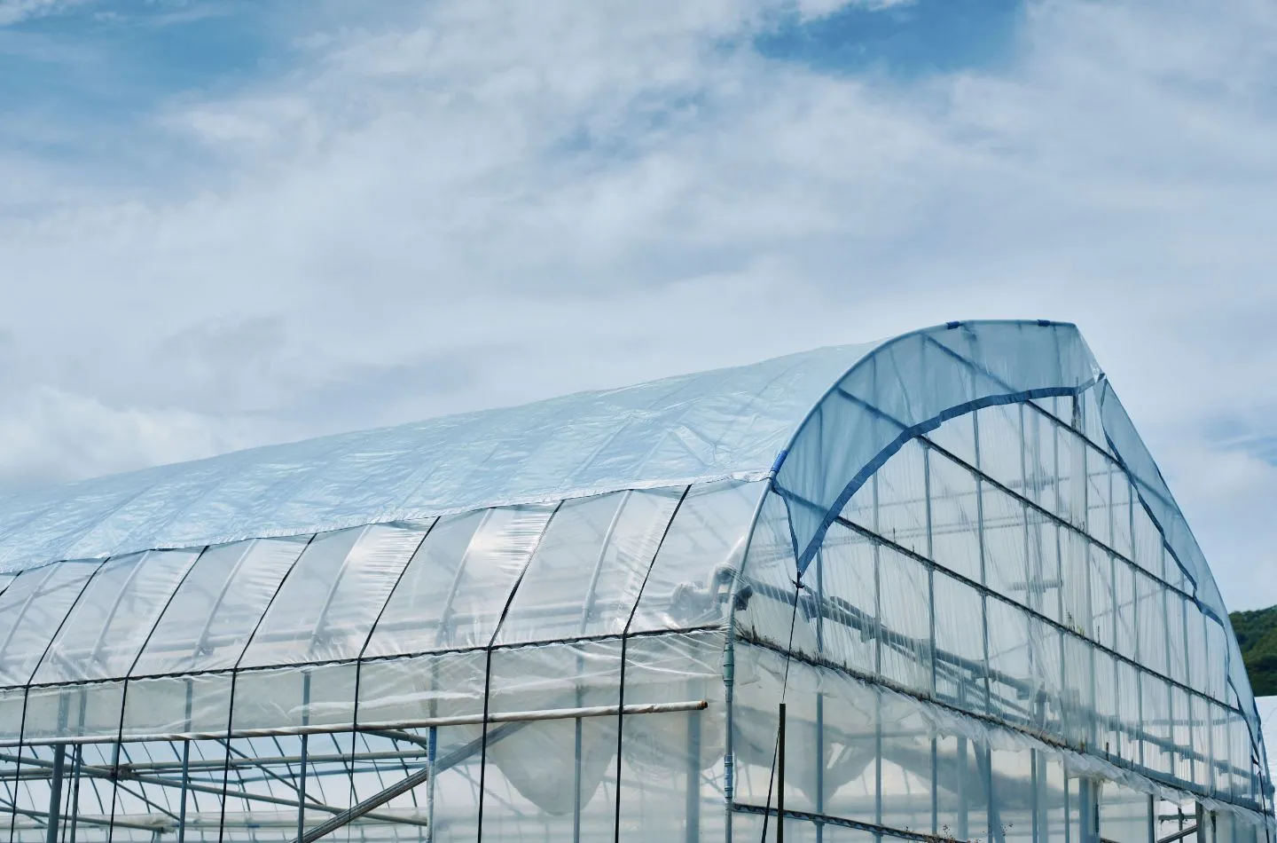 An image visual that conveys a material engineered to harness sunlight through its transparency and weaving technology