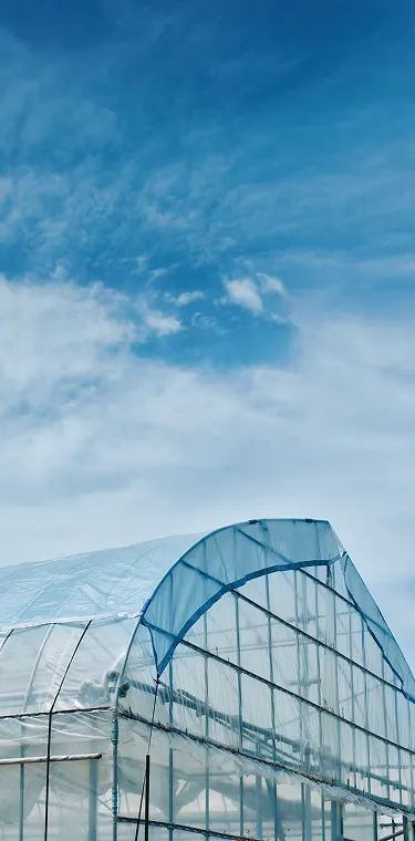 An image visual that conveys a material engineered to harness sunlight through its transparency and weaving technology