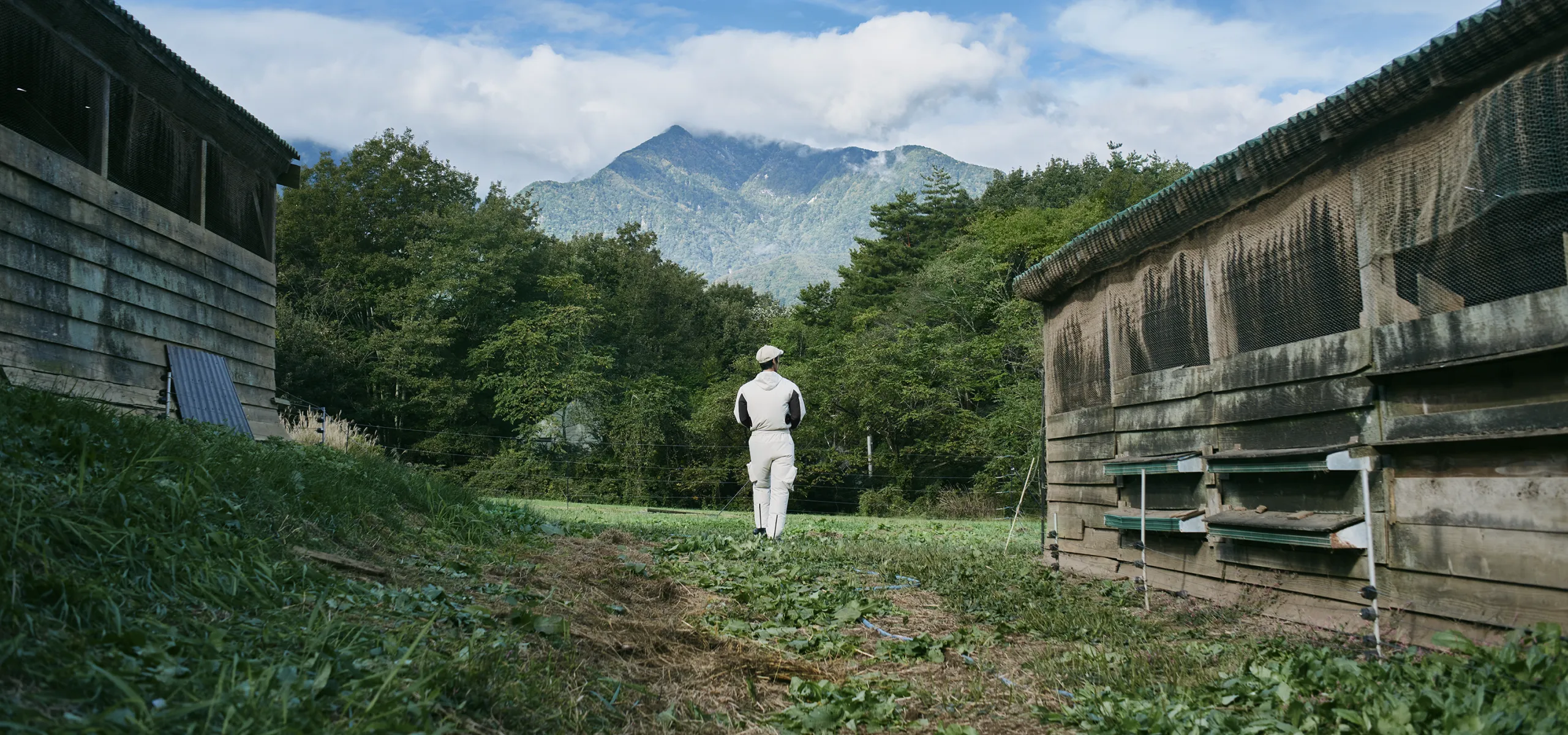A visual showing the view over a meadow, an old chicken coop, and majestic mountains from behind a person wearing HOPE WEAR