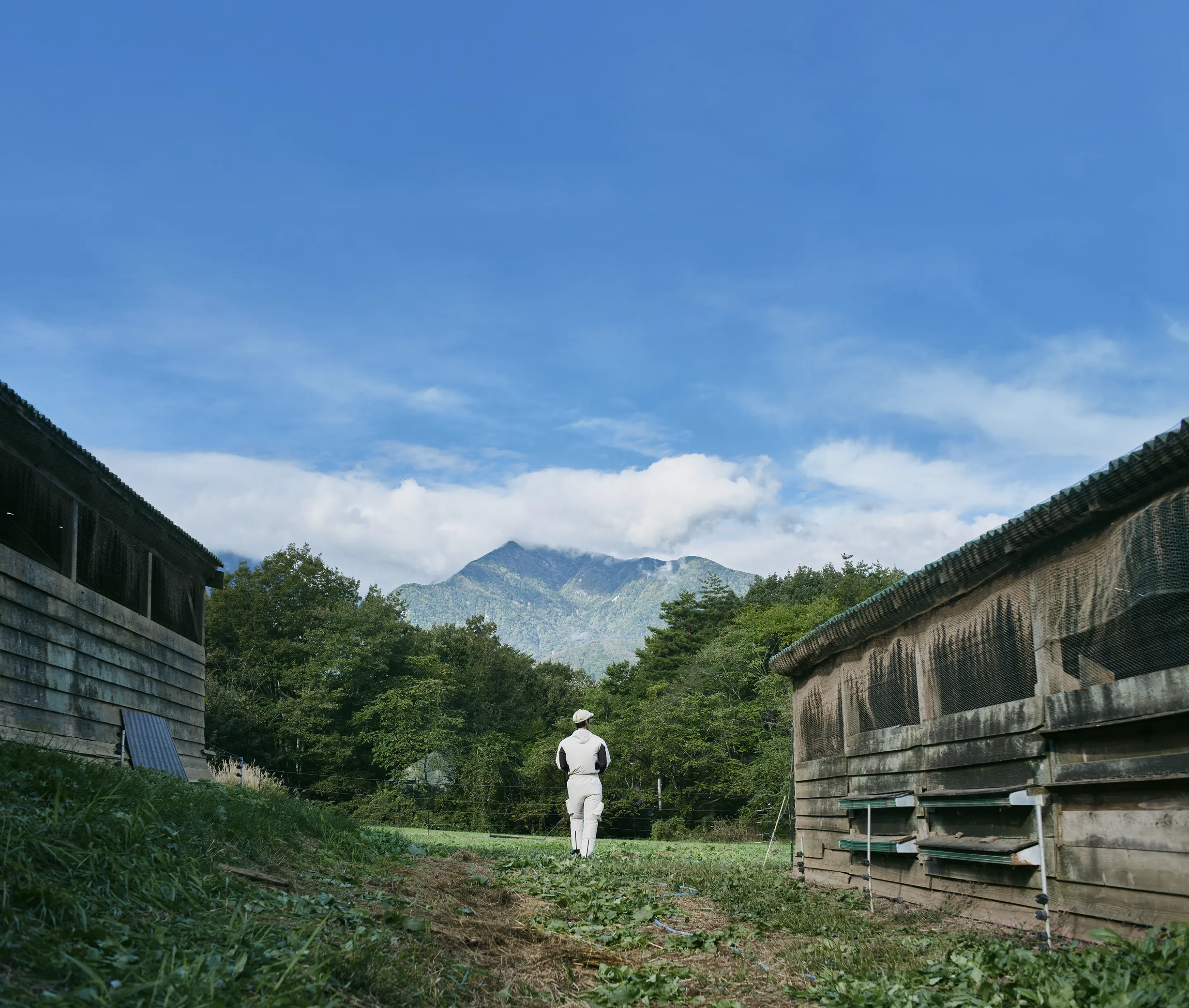 A view over a meadow, an old chicken coop, and majestic mountains from behind a person wearing HOPE WEAR