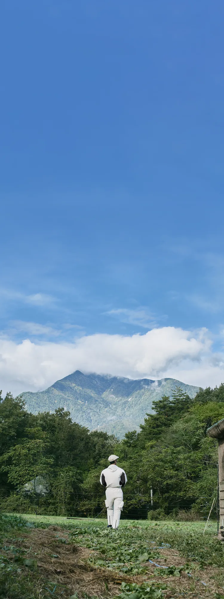A view over a meadow, an old chicken coop, and majestic mountains from behind a person wearing HOPE WEAR