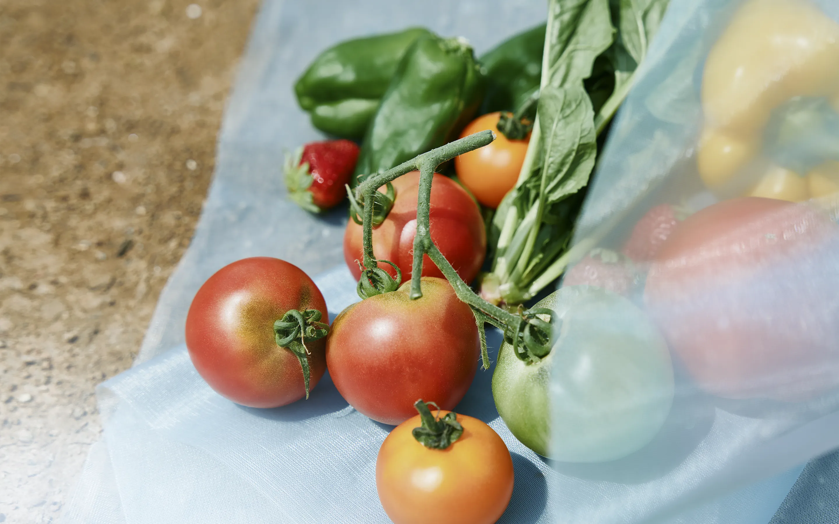 An image visual featuring a fresh, dewy tomato placed on a heat-blocking shade net infused with SOLAMENT™