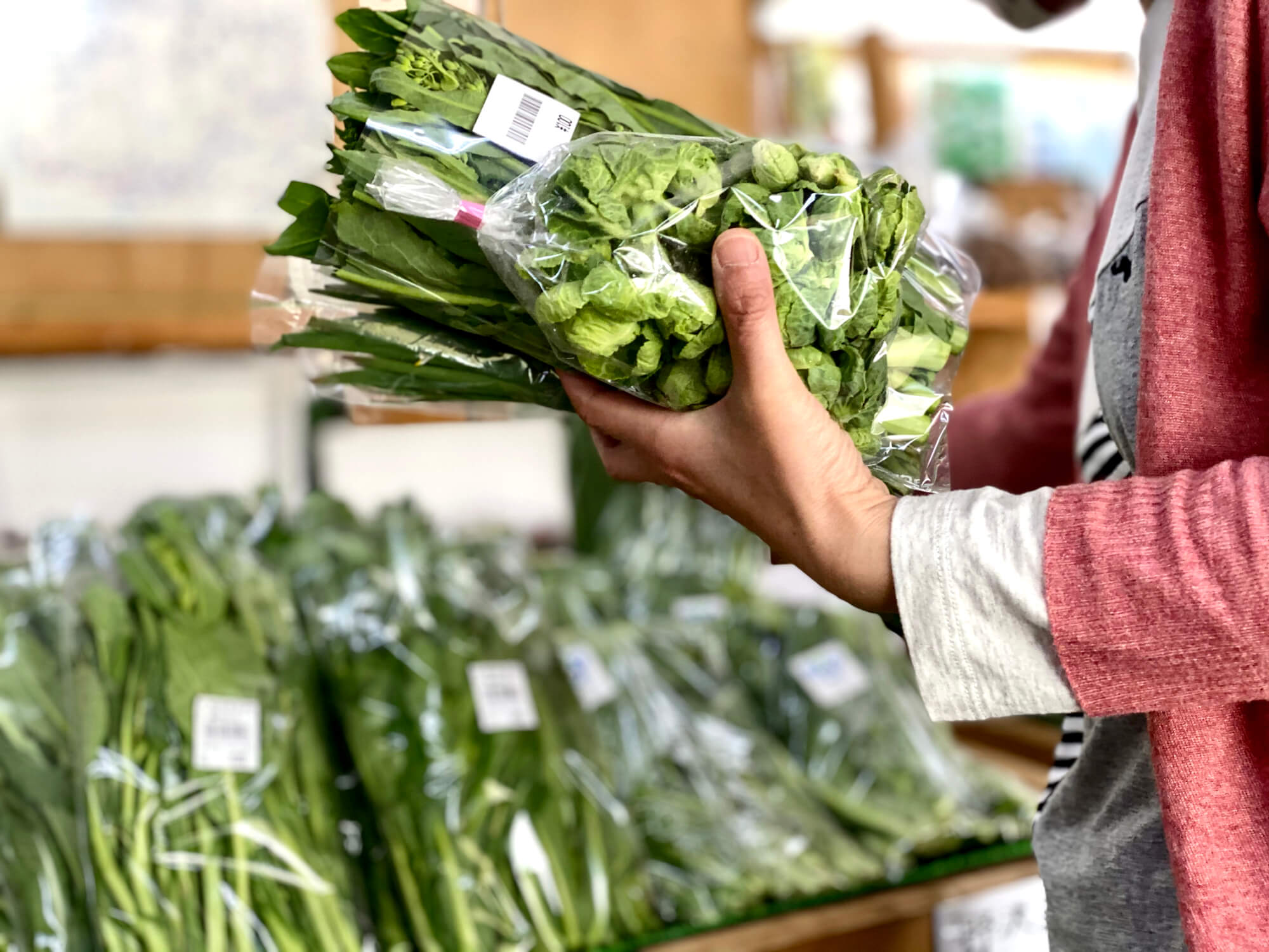 野菜を選んでいるところ